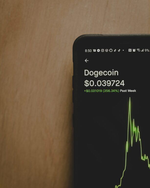 Dogecoin Whales Accumulate Over 1.4 Billion Tokens Worth $140 Million in 48 Hours 