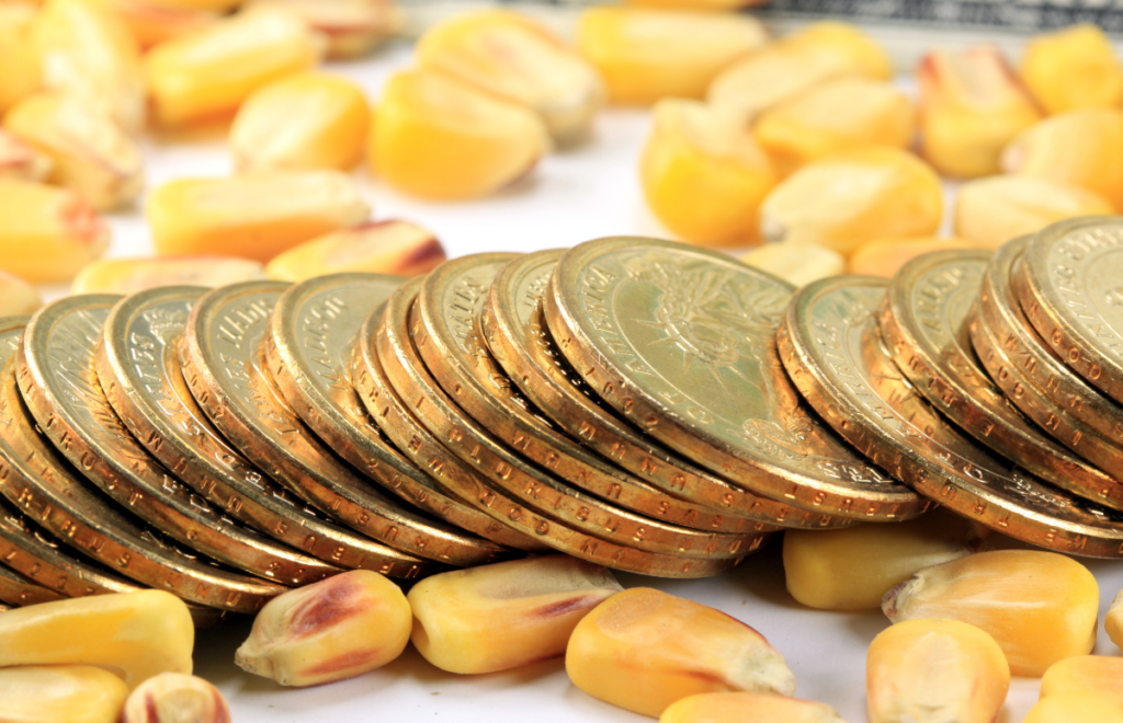 commodity currency