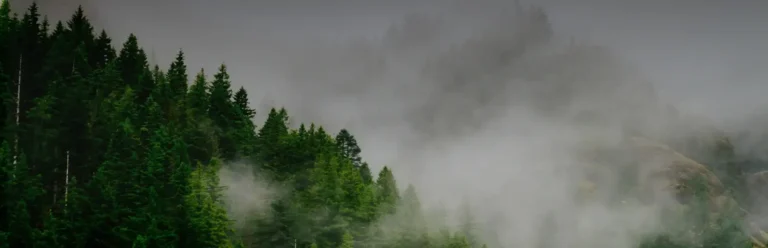 Market in Review 5/20/2024 - Concept Trading