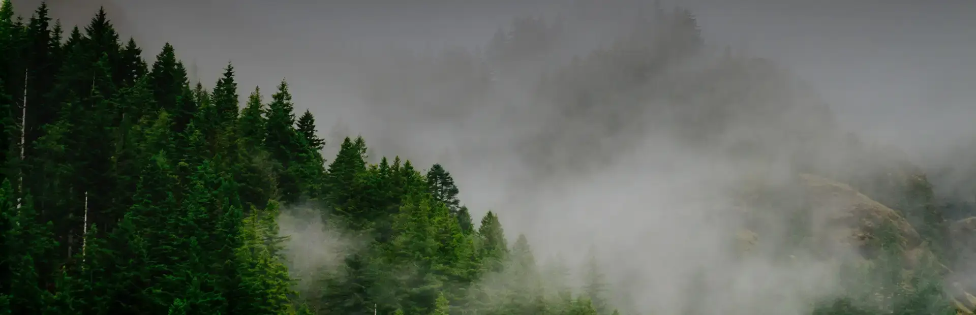 Market in Review 5/20/2024 - Concept Trading