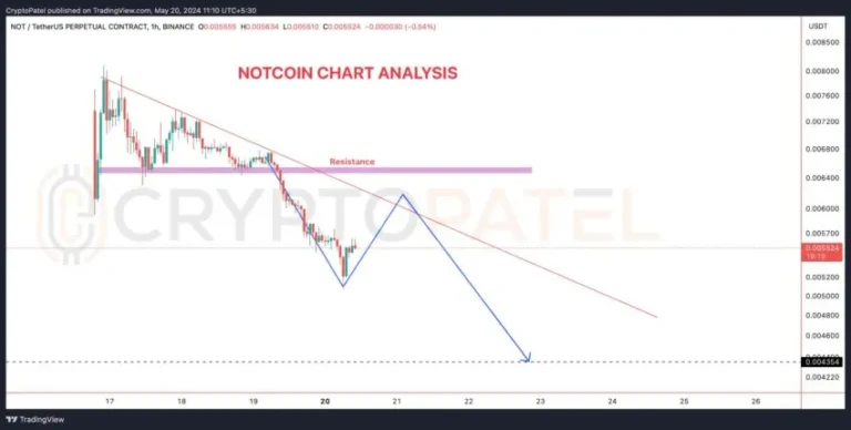Notcoin's Price Nosedives 85%: What Went Wrong? - AabeyLLC Crypto