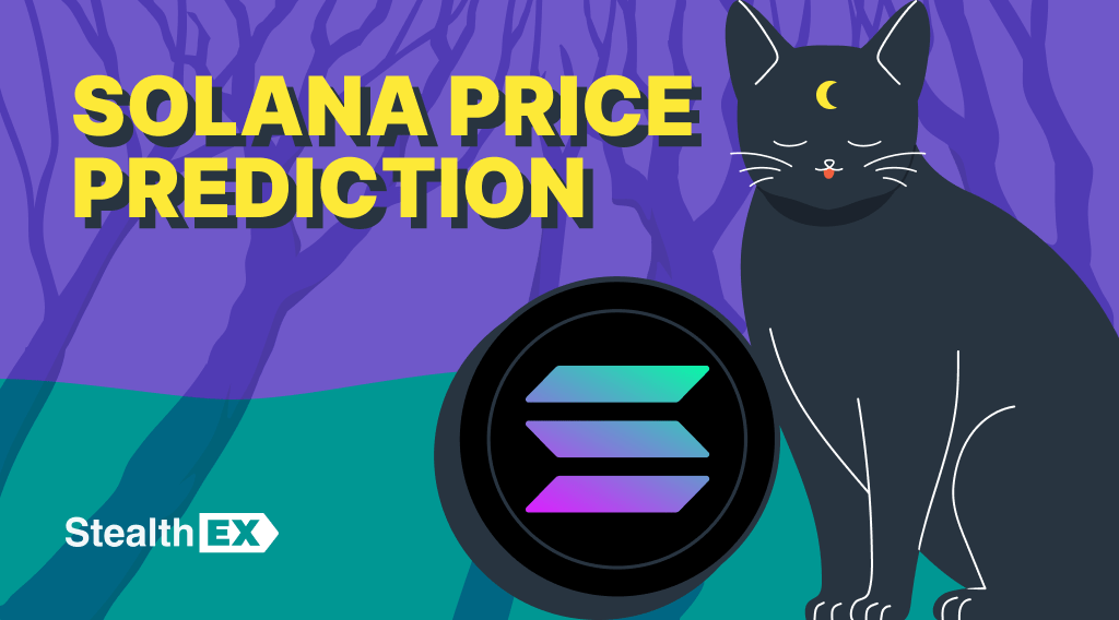 Solana Price Prediction 2024, 2025, 2030, 2040: Will SOL Price Hit $1000?