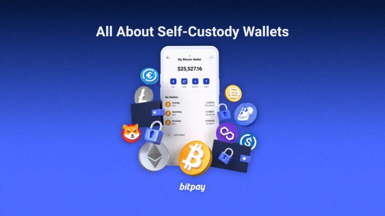 What are Self-Custody Wallets? [2024] | BitPay