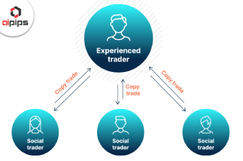 Why Use Copy Trading in Forex? - aipips