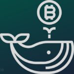 Bitcoin Worth More Than $3.45 Billion Has Exited Crypto Exchanges Amid BTC Whales Going Parabolic