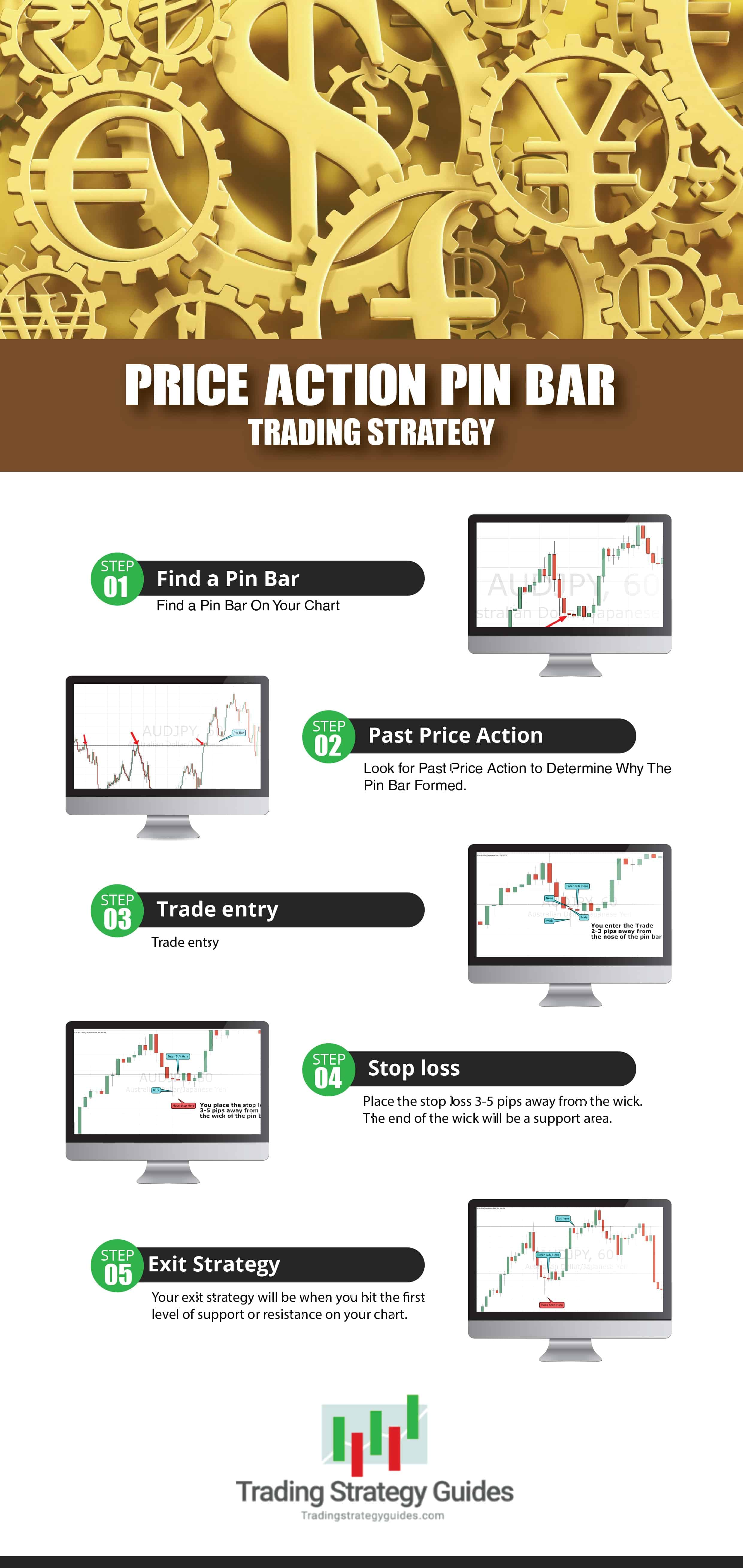 The Best Price Action Trading Strategy Pdf: An Essential Guide -- Price Action Trading Strategy Pdf,Price Action Trading Strategy,Price Action Trading Price Action Trading Strategy Info Graphic