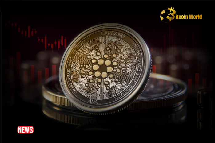 Only 30% Of Cardano (ADA) Holders In Profit – What Happens Next?