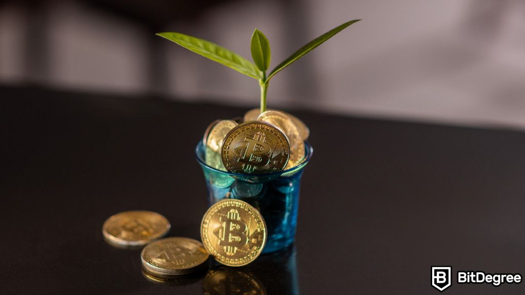 BlastUP: A Community-Backed Launchpad with Native Yield