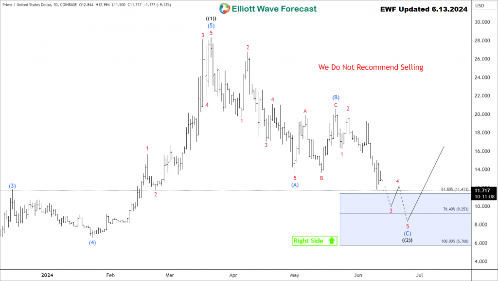 Capitalizing on Echelon Prime Daily Price Correction – Forex Market Analysis – ForexCycle.com