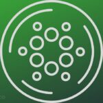 Charts Show ADA Ready For 1,700% Eruption To $8 Price As Stars Align For Cardano Monster Bull Run