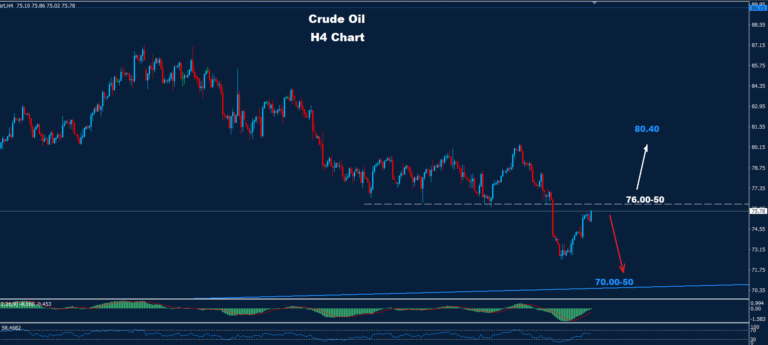 Crude Oil – 07.06.2024 - Orbex Forex Trading Blog