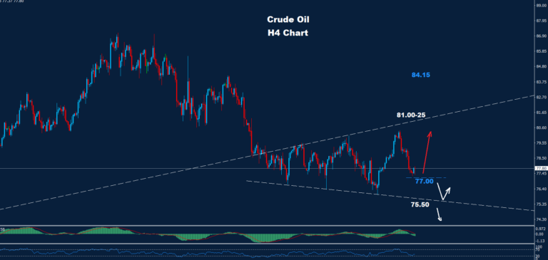 Crude Oil – 31.05.2024 - Orbex Forex Trading Blog