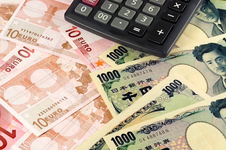 EUR/JPY Price Analysis: Slips below 169.00 amid political turmoil