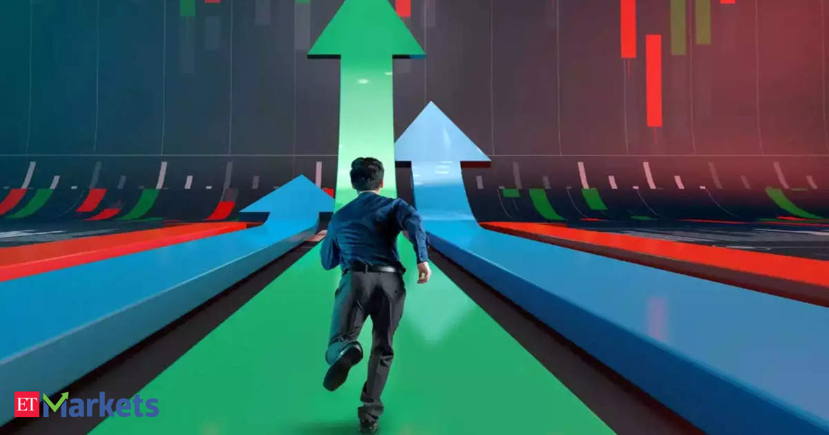 FY24 threw 12 multibagger stock ideas with consistent earnings growth. Which ones to chase?