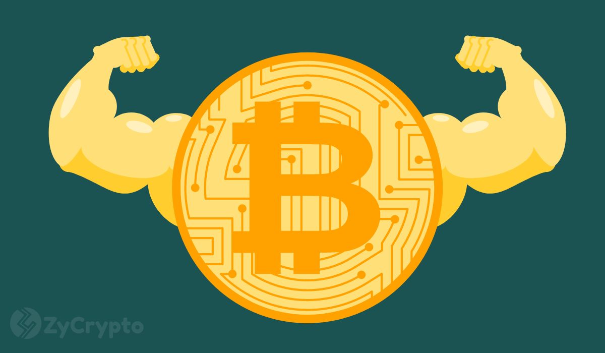 From Foe To Friend: Donald Trump Proudly Brands Himself As The ‘Crypto President’