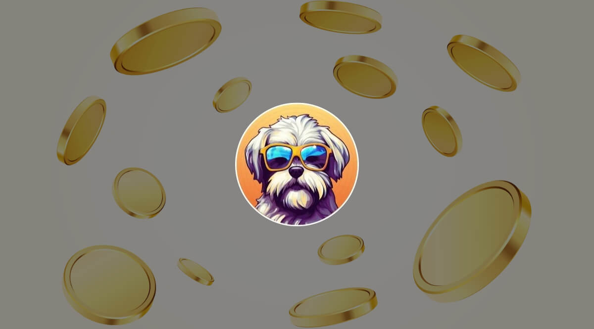 Where Can You Buy Hava Coin?