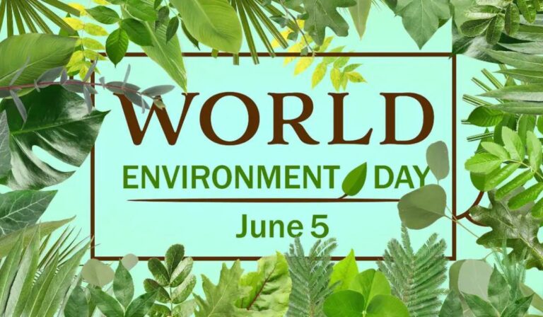 India's Real estate sector's transition to sustainability: World Environment Day 2024 - Equitypandit