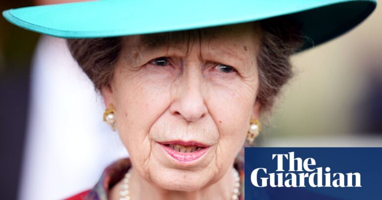 Princess Anne treated for head injury and concussion