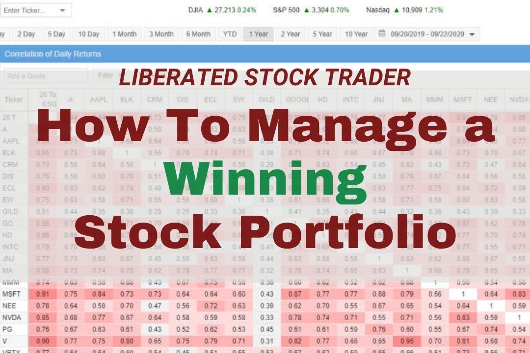 7 Steps to Managing Your Stock Portfolio Like a Pro