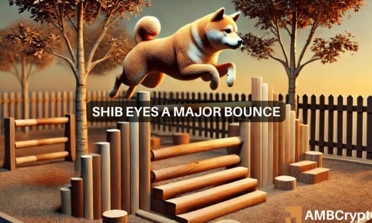 Shiba Inu set for a 2x rally? Market interest signals bullish breakout