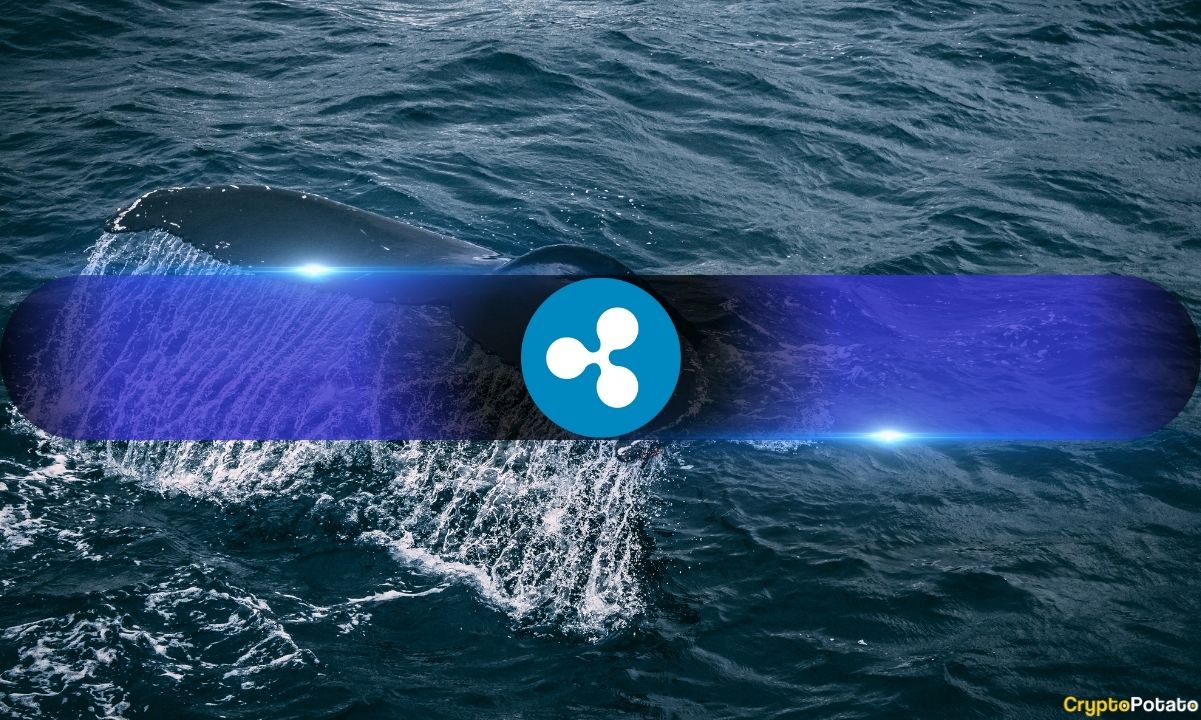 Strong Accumulation Demand for XRP as Ripple Price Tapped 4-Month High