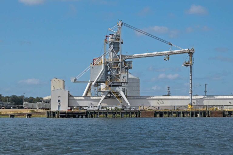 The Value Portfolio profile picture