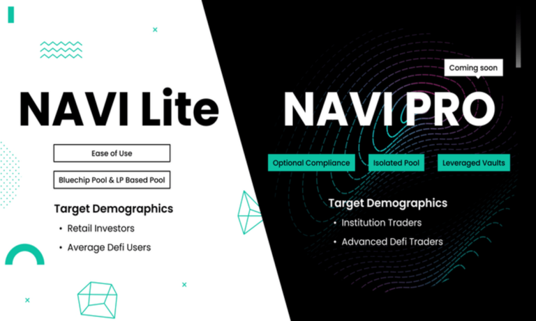 NAVI Pro Launch - A New Generation of Liquidity Management on Sui - Blockonomi