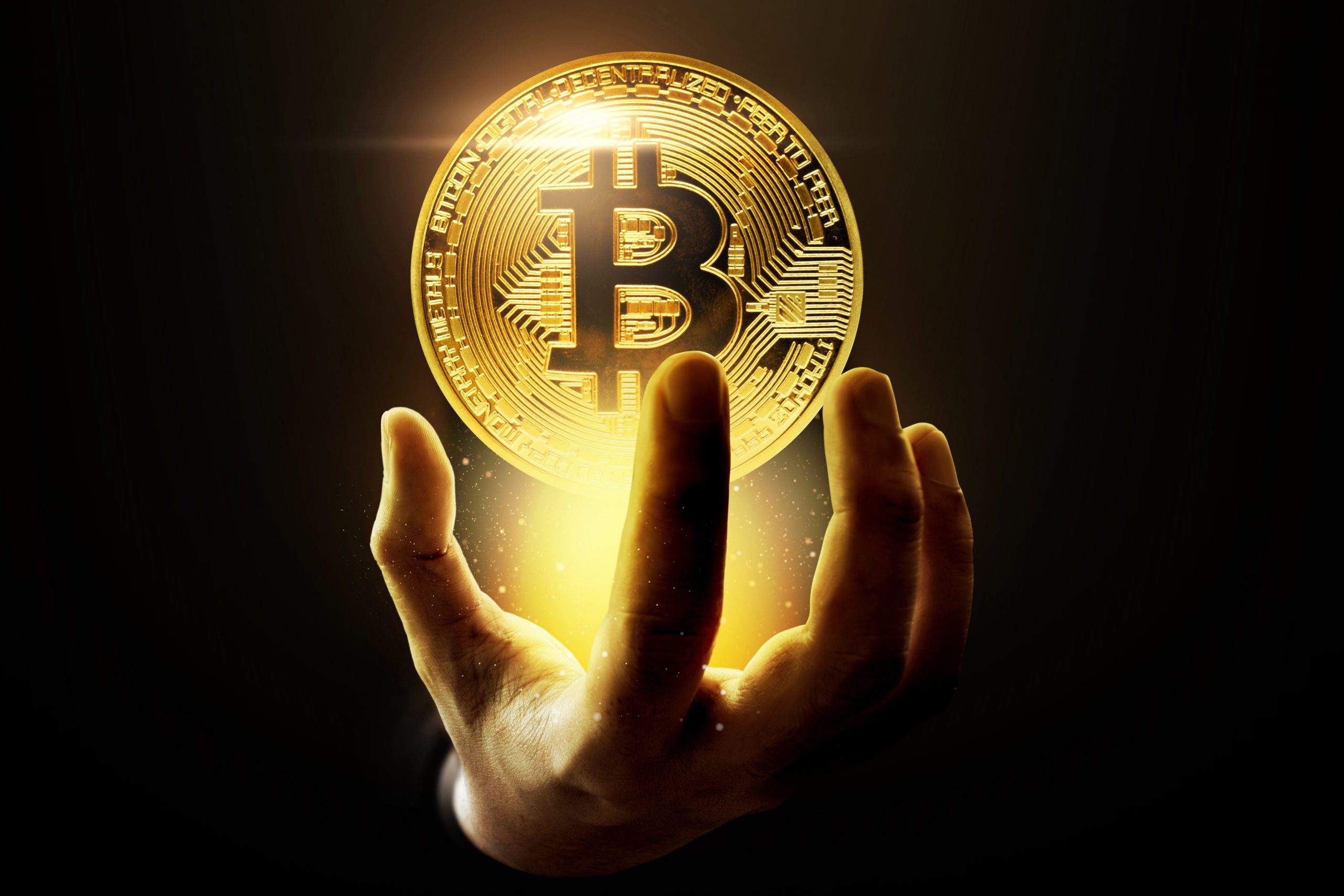 Bitcoin (BTC/USD) Price Holds Steady as Accumulation Trend Signals Potential Breakout - MarketPulse