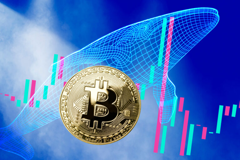 Data Reveals 75% of Bitcoin Hasn’t Moved as Whales Accumulate More BTC