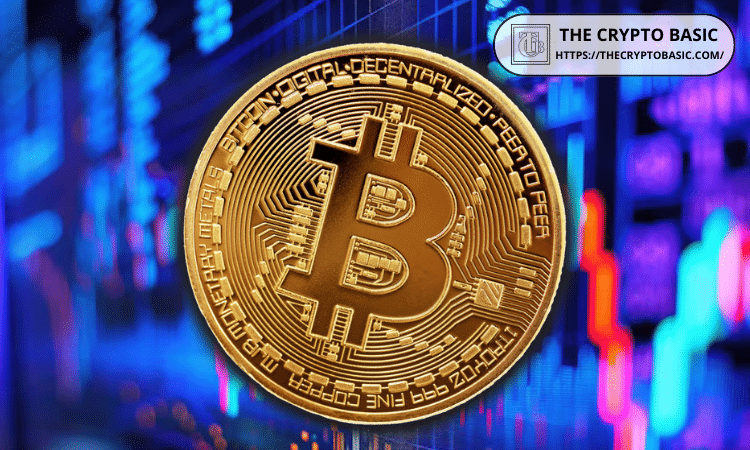 Longest Bitcoin ATH Wait Post-Halving? Peter Brandt Warns of Red Flags