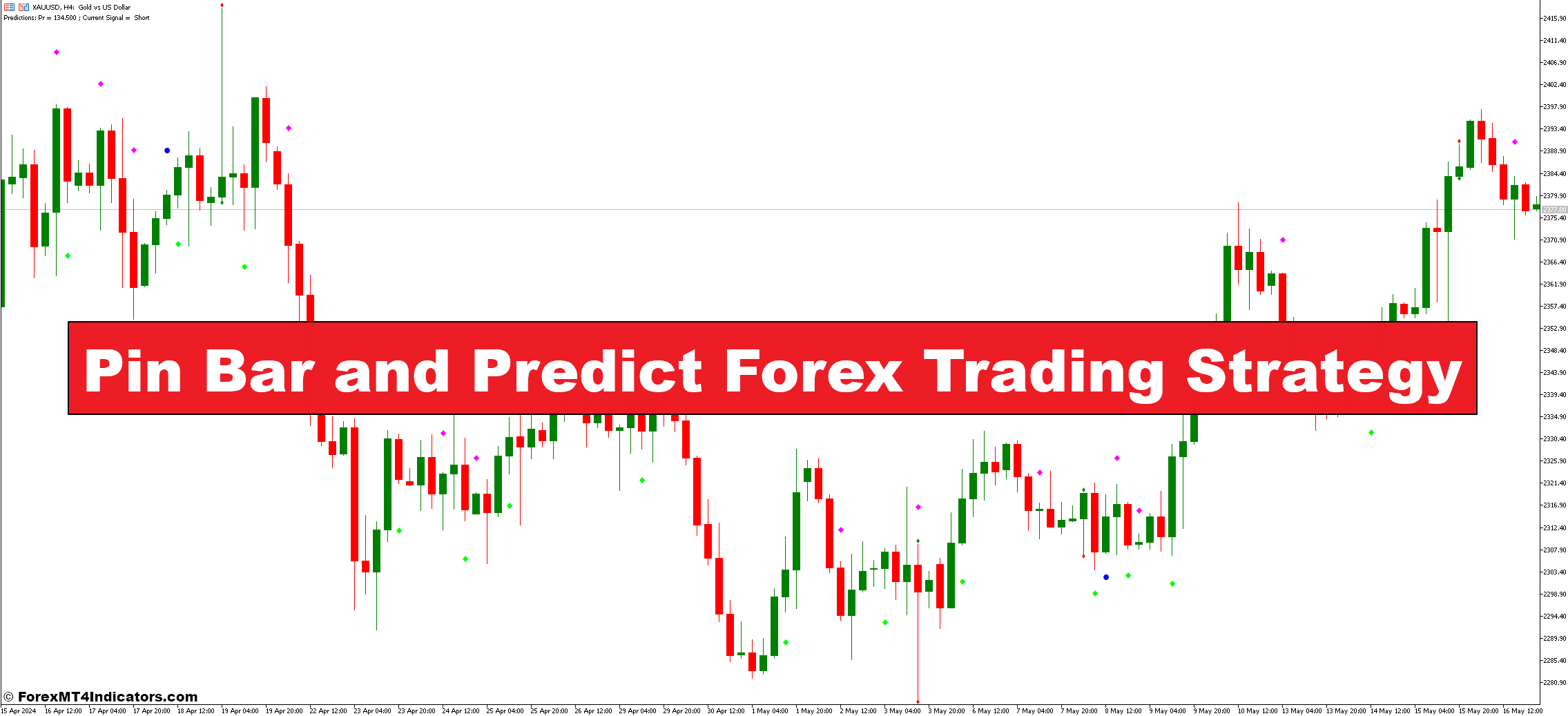 Pin Bar and Predict Forex Trading Strategy
