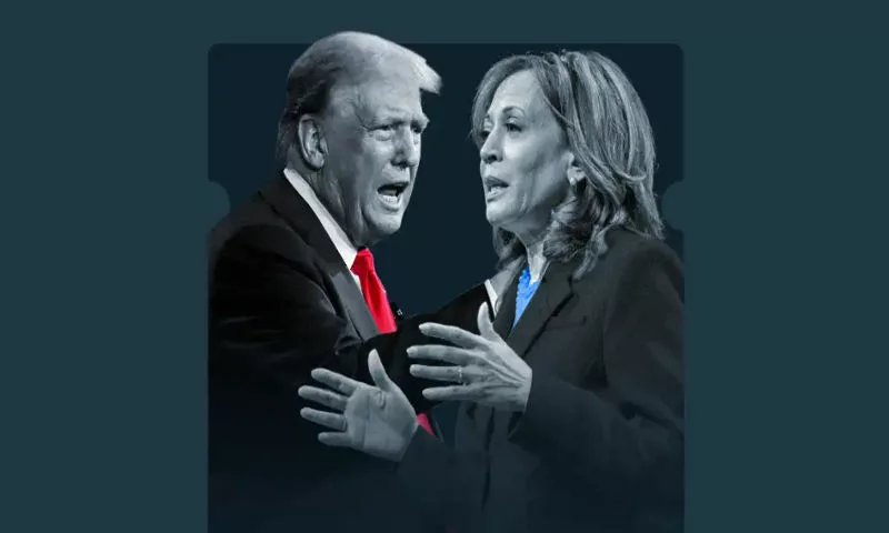 Bet on The 2024 Election with Stake’s 220+ Votes Promo!