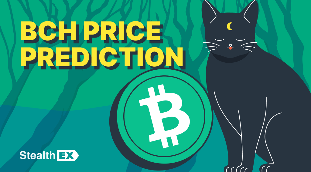 Bitcoin Cash Price Prediction 2024, 2025, 2030, 2040: Will BCH Reach $1000?