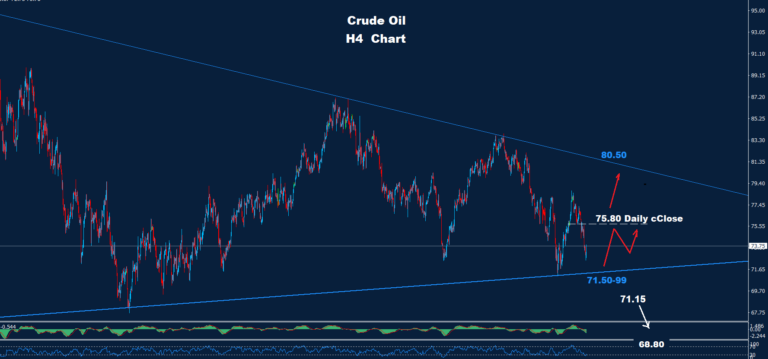 Crude Oil – 20.08.2024 - Orbex Forex Trading Blog