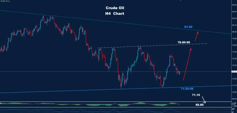 Crude Oil – 30.08.2024 - Orbex Forex Trading Blog