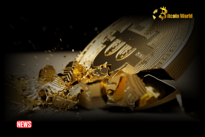 Crypto Stocks Bitcoin Below $50K, Triggers Market Value Decline