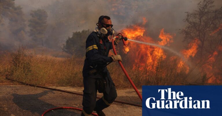 Heat aggravated by carbon pollution killed 50,000 in Europe last year – study