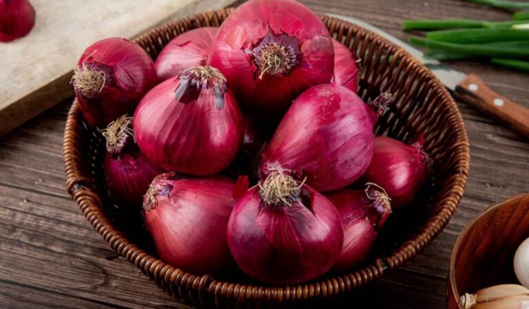 Indian Onion Exporters Struggle as Bangladesh Crisis Worsens - Equitypandit