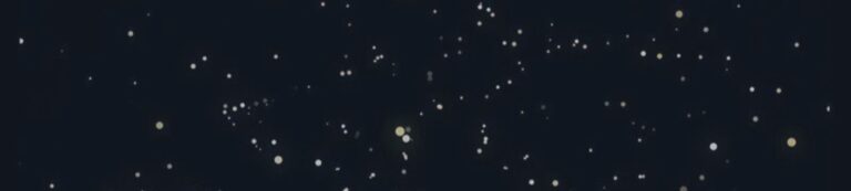 MA Crossing Bot tutorial