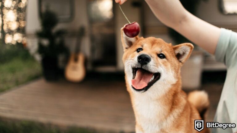 Memecoin Fails to Gain Clout as Buterin Dumps Airdrop