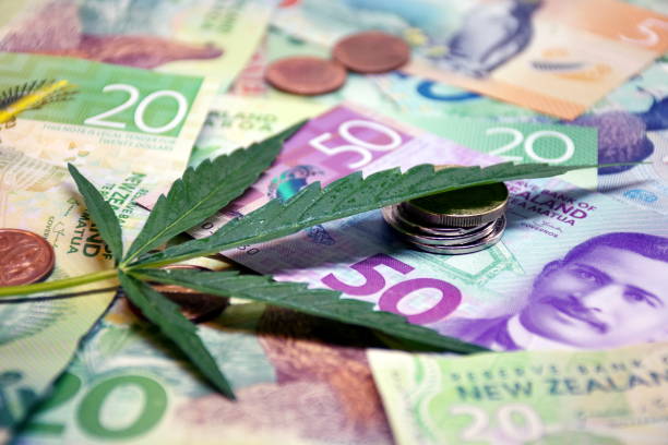 NZ First Impressions: Labour Market Surveys, Q2 2024 - Action Forex