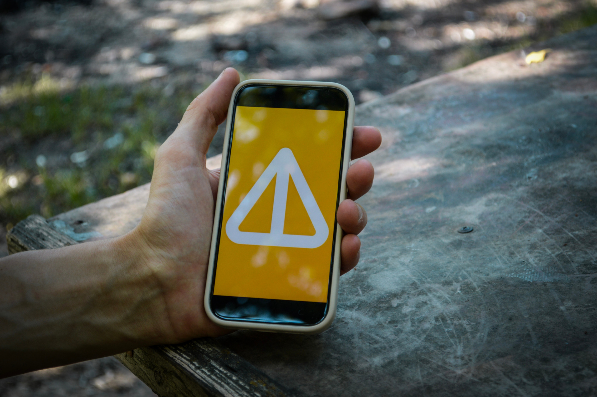 Notcoin Launches Interactive 'Lost Dogs' Telegram Game in Partnership with TON NFT Project