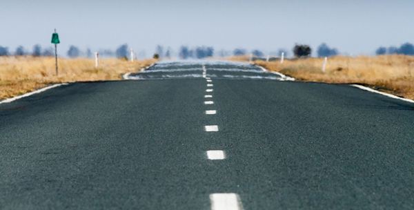 Our Higher Purpose – Fat Tail Daily