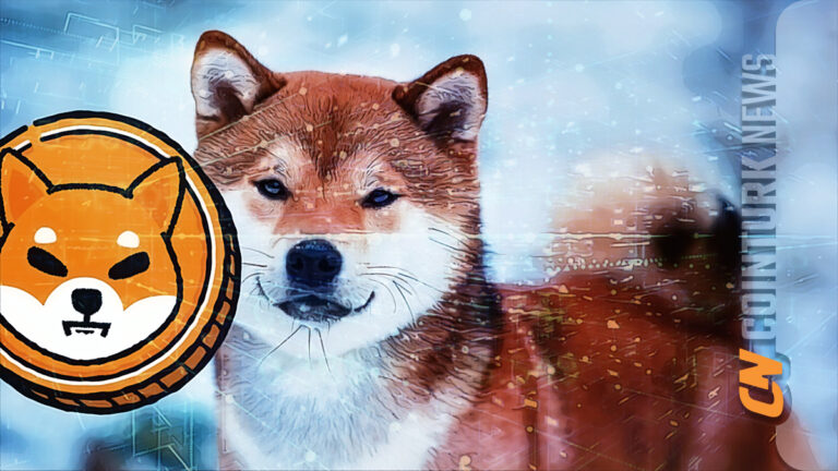 Shiba Inu Approaches Breakout from Consolidation Period - BitRss - Crypto World News