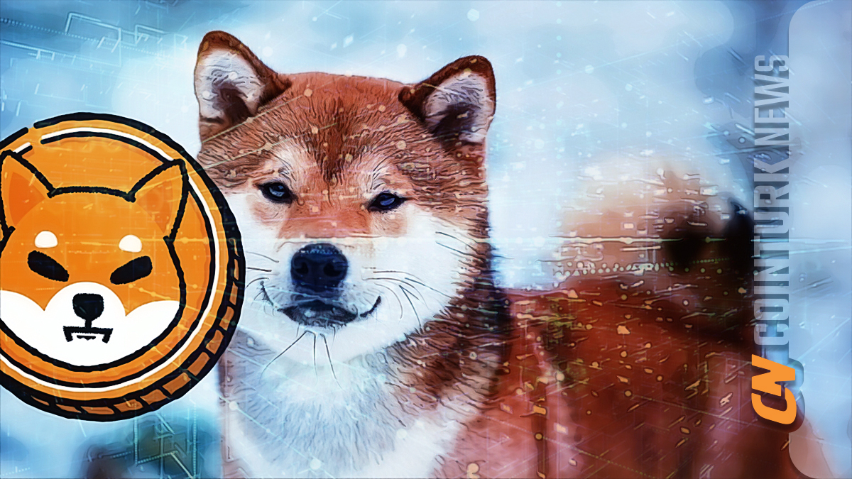 Shiba Inu Approaches Breakout from Consolidation Period - BitRss - Crypto World News