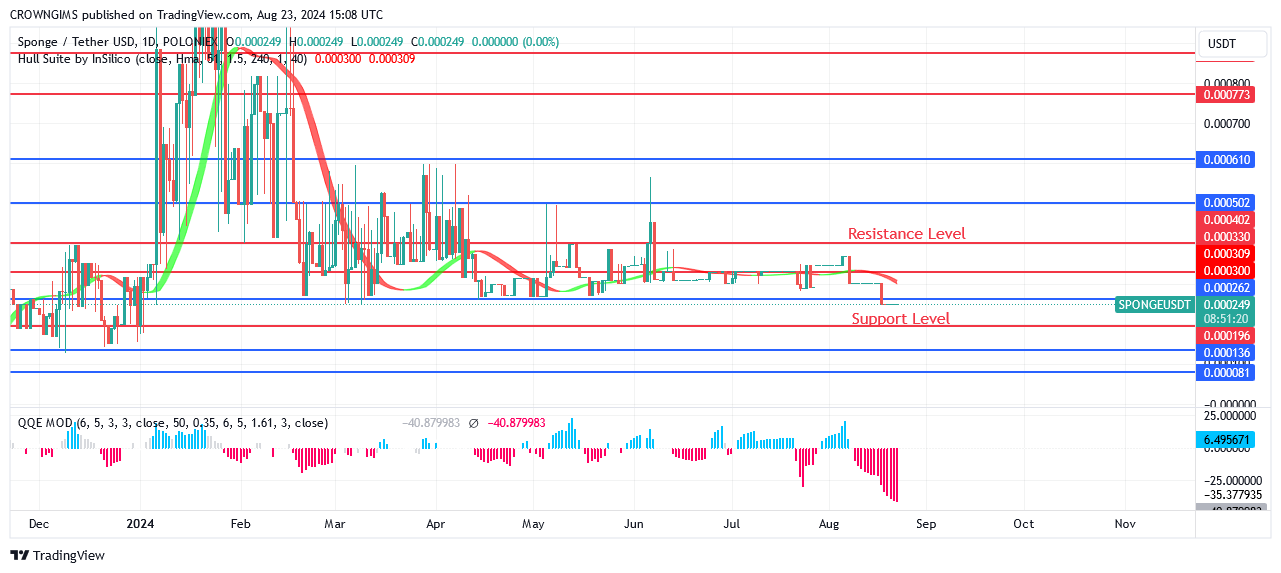 Sponge (SPONGEUSDT) Price: Purchases Increase as a Result of More Investors