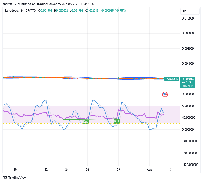 Tamadoge (TAMA/USD) Price Fine-tunes Basis, Settling for Rises