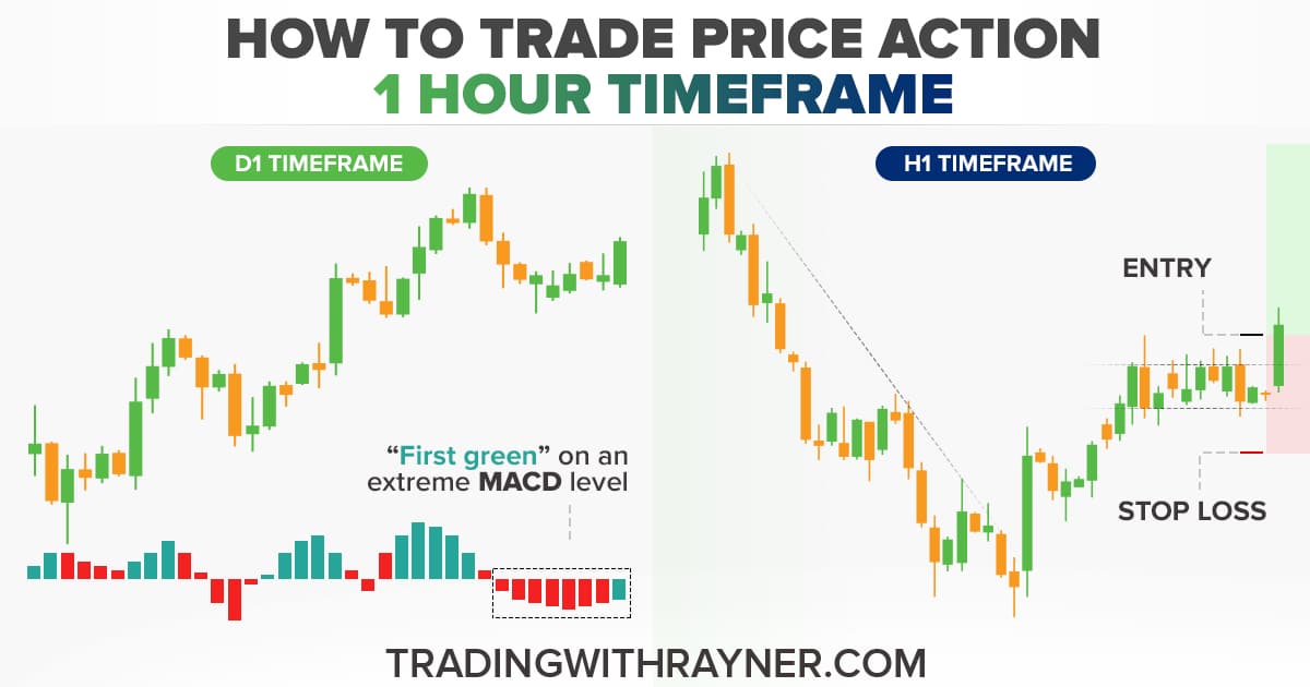 The Definitive Guide On How To Trade Price Action In The 1 hour Timeframe
