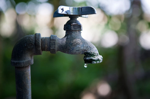 The Leaky Faucet Agency – Fat Tail Daily