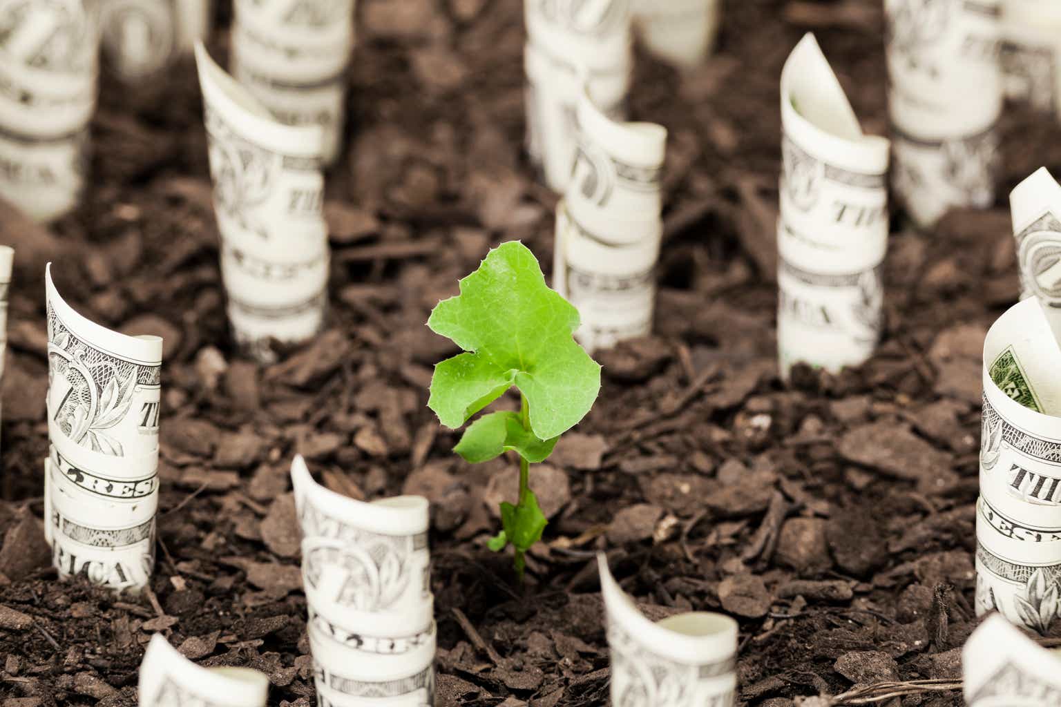 Leo Nelissen profile picture